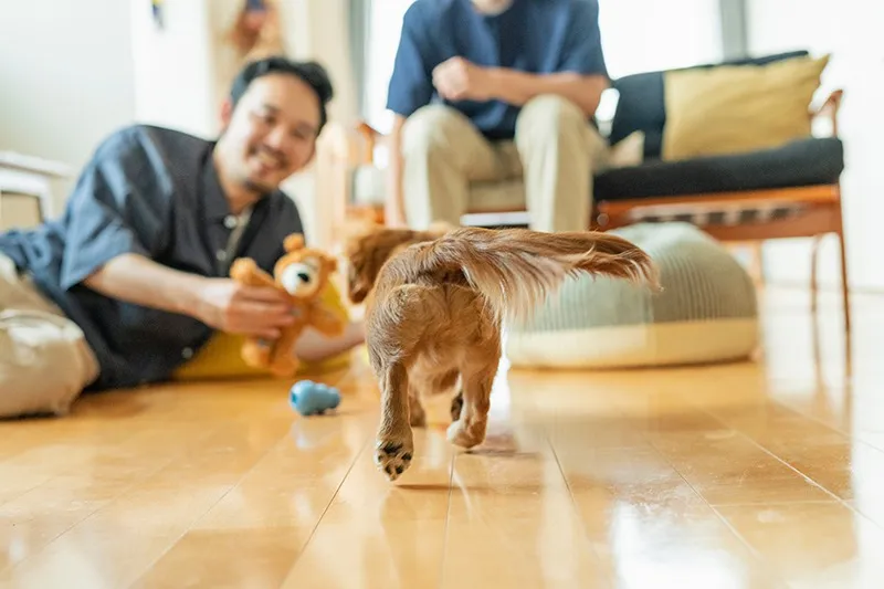 自然素材を活かしたペットと暮らすリノベーション